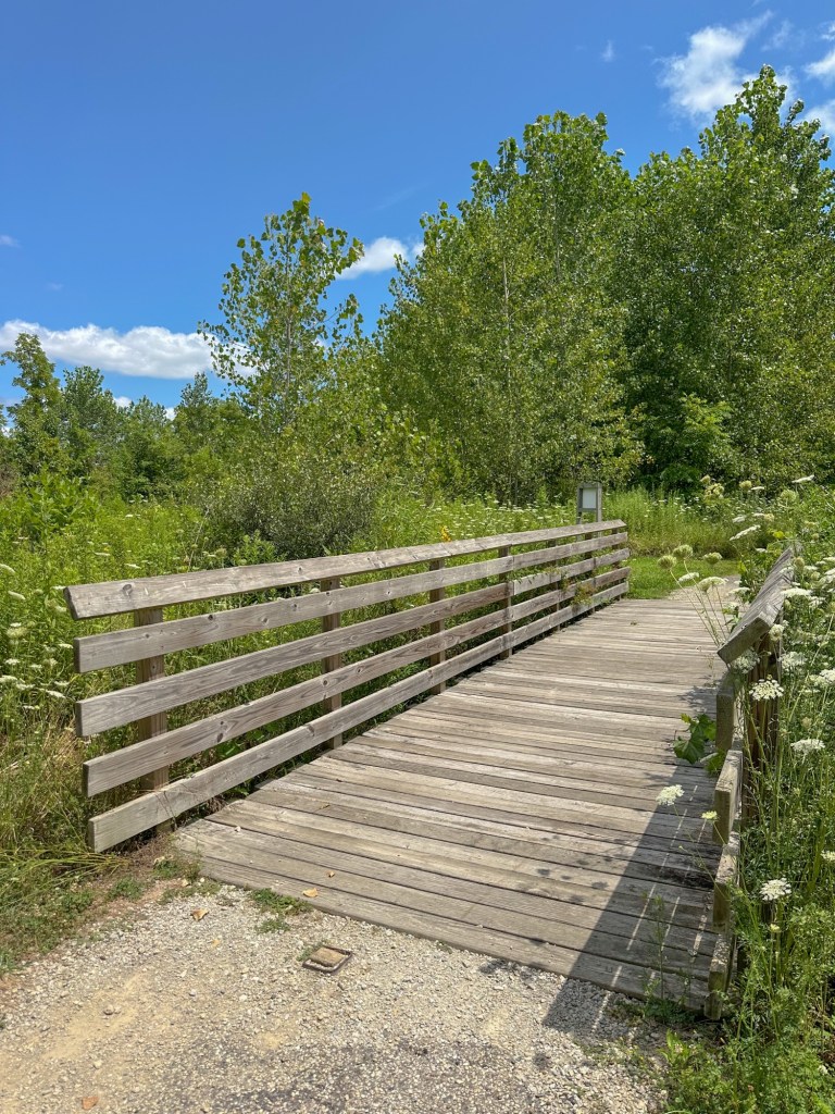 Wooden bridge spanning a pathway surrounded by lush greenery and blue sky.
